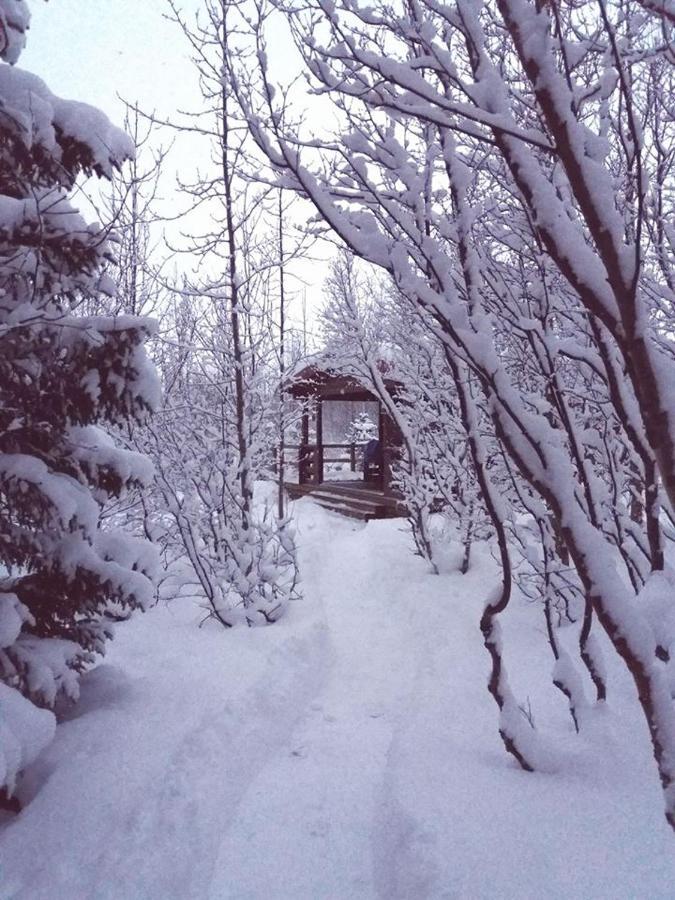 Bakkakot 1 - Cozy Cabins In The Woods Акурейри Экстерьер фото